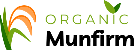 new.digifidato.com